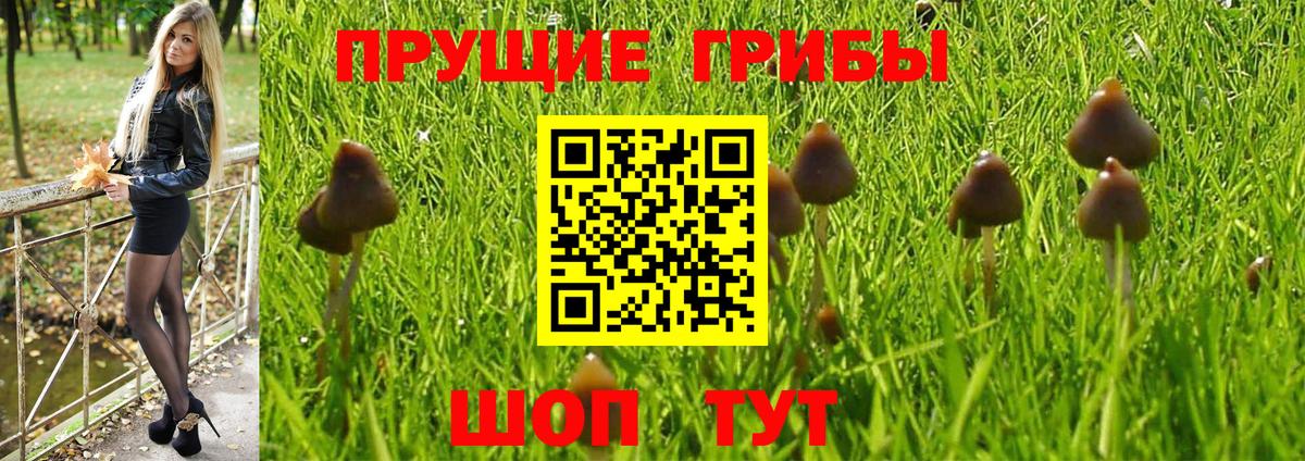 Галлюциногенные грибы ЛСД  Вход с VPN  Аша  Псилоцибиновые грибы Psilocybe 